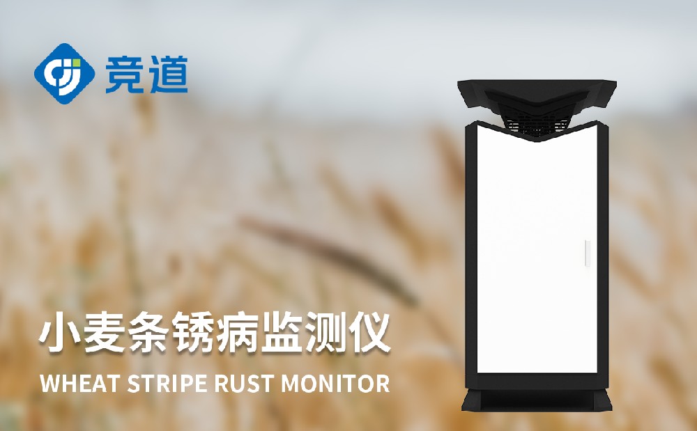  小麥條銹病監(jiān)測(cè)儀提升小麥病害治理能力