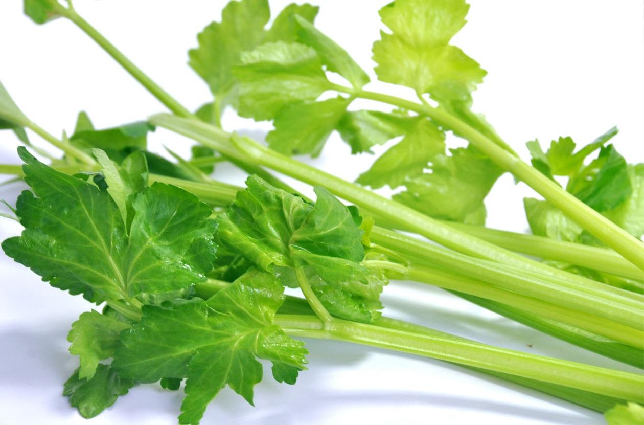 蔬菜是個寶，這些部位也更好！