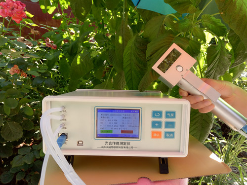 植物氣孔針有何應(yīng)用？