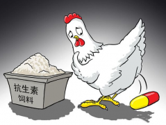 食品抗生素層出不窮，如何檢測？